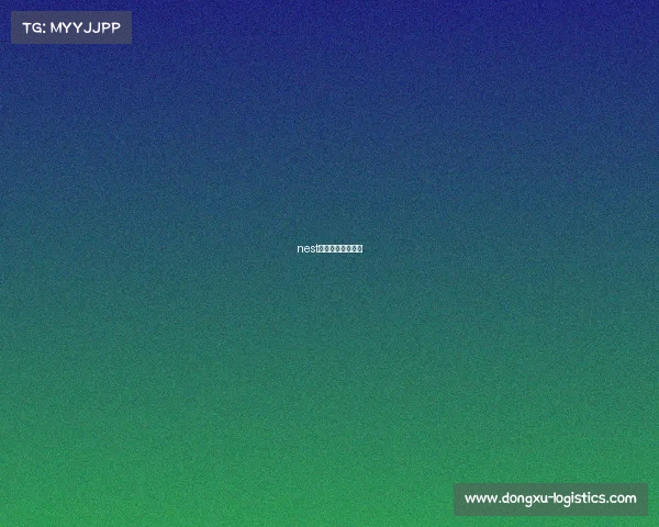 nest全国电竞大赛赛程