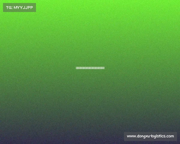 燃爆盛夏邯郸电竞夏令营助你开启荣耀征程 燃爆盛夏邯郸电竞夏令营助你开启荣耀征程