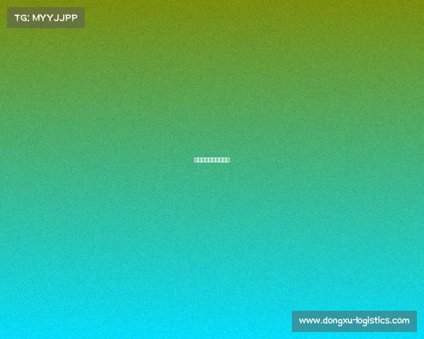 电子竞技场馆里怎么玩